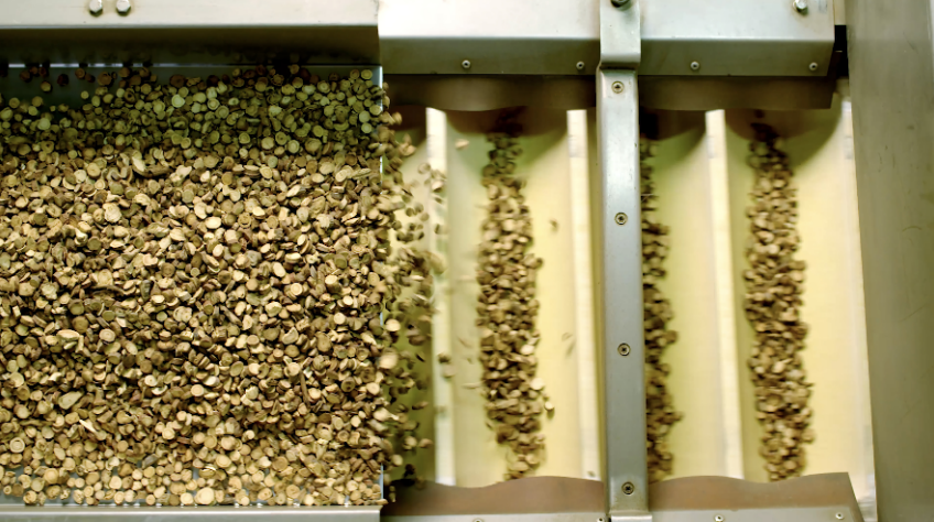 FUN88·乐天堂(中国游)官方网站